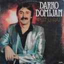 Darko Domijan 