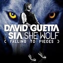 David Guetta Feat Sia 