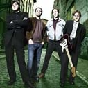 Gin Blossoms 