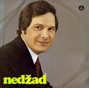 Nedzad Salkovic 