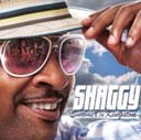 Shaggy Feat. Pitbull 