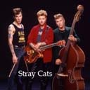 Stray Cats 