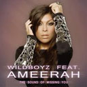 Wildboyz Feat. Ameerah 