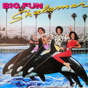 Big Fun
