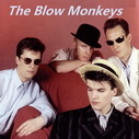 Blow Monkeys