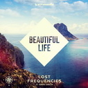 Lost Frequencies Feat. Sandro Cavazza