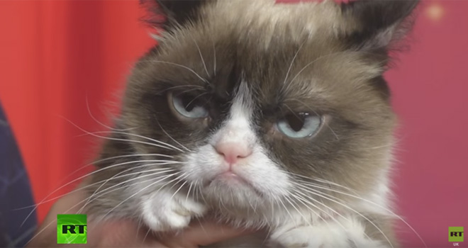 Grumpy cat dobila mesto u Madam Tiso