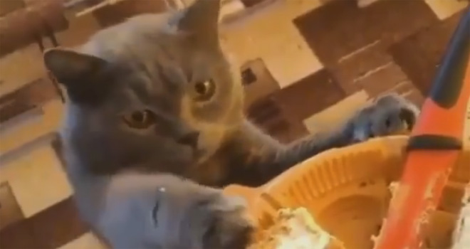 Ovako se uživa u slatkišu