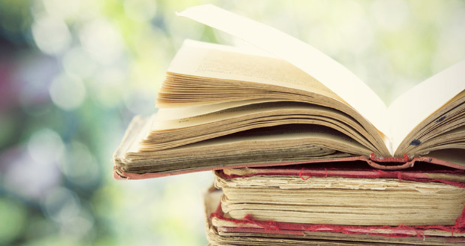 Srpska književnica oduševila Ruse!