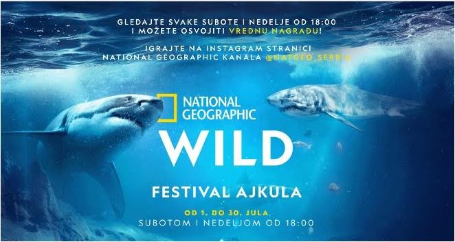 Tradicionalni National Geographic Sharkfest počinje 1. jula