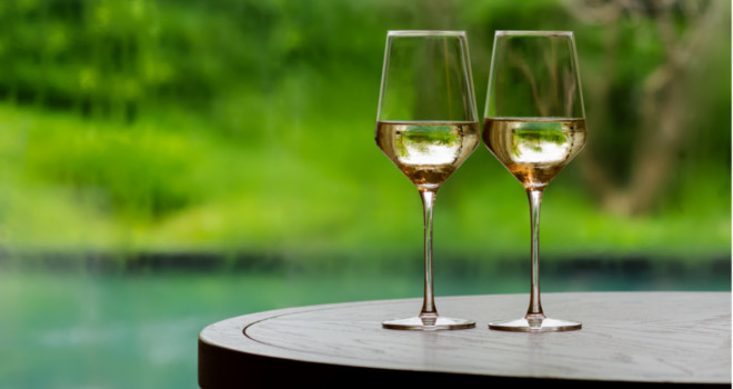 Wine Garden ovog vikenda u Botaničkoj bašti "Jevremovac"