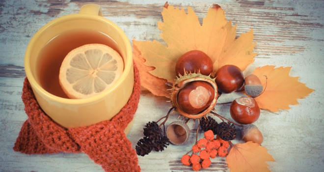 Uživajte u jeseni: Sve čarolije ovog godišnjeg doba