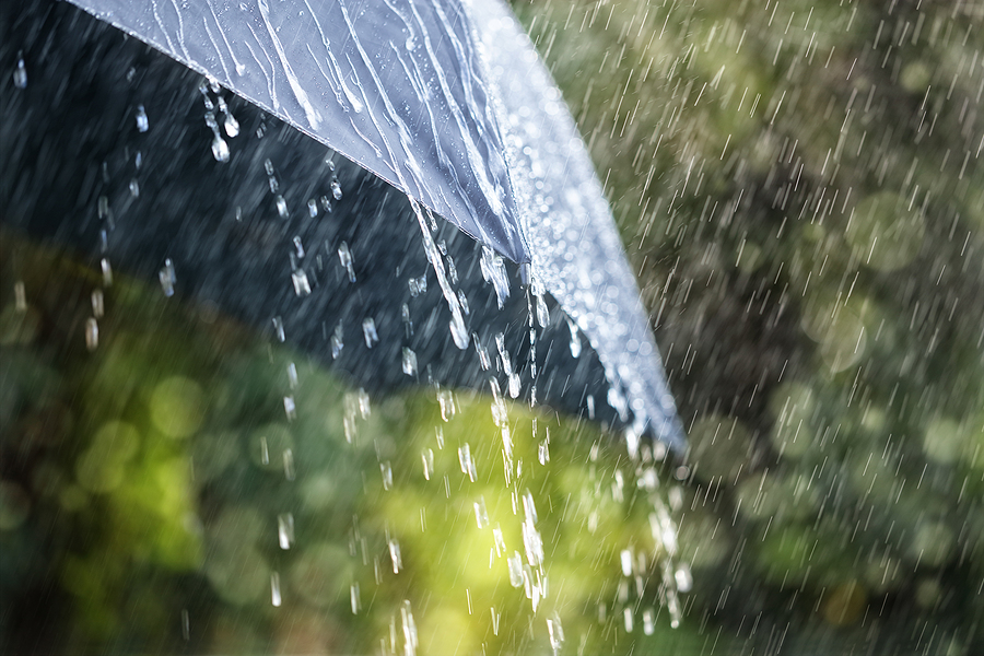 El Ninjo i La Ninja: Kako će se smenjivati  meteorološke pojave ove godine?