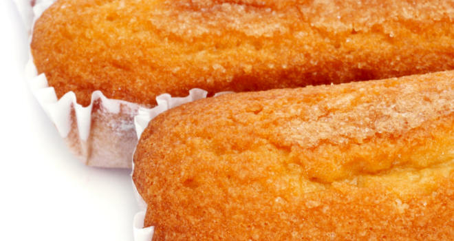 Domaći koh