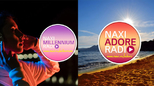 Naxi Digital: Neodoljiv zvuk putovanja i hitova novog milenijuma
