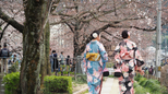 Japansko hodanje: Isprobajte ovu jednostavnu metodu za zdravije srce