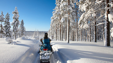 Vodič kroz Laponiju: Mnogo više od polarne svetlosti!