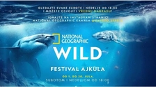Tradicionalni National Geographic Sharkfest počinje 1. jula