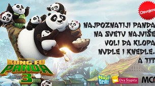 Najpoznatiji panda na svetu najviše voli da klopa nudle i knedle. A ti?
