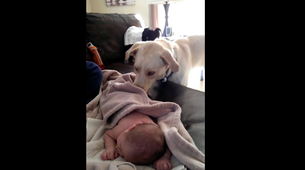 Pas brine o bebi i dok ona spava