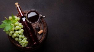 Wine and music festival: Umetnost, muzika i vino